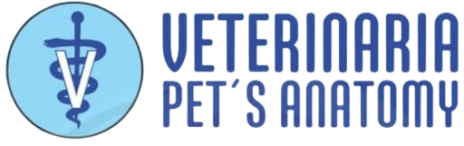 Veterinaria Pets Anatomy