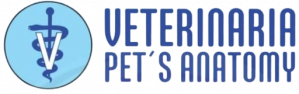 Veterinaria Pets Anatomy