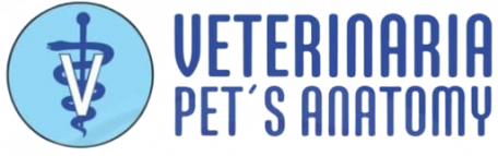 Veterinaria Pets Anatomy