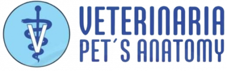 Veterinaria Pets Anatomy